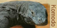 Así es. Komodo es el nuevo y flamante Campeón Mundial («oficioso») de motores de Ajedrez, tras haber vencido a Stockfish en la emocionante final del Séptimo Campeonato TCEC que viene organizando como [&hellip;]