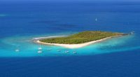 Hoy traigo nuevamente un trabajo de mi amigo de Uruguay Horacio Kiel. Se trata de un relato corto lleno de imaginación, que nos sumerge en una trama en la que [&hellip;]